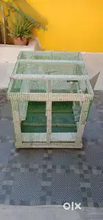Big Size Bird Gage