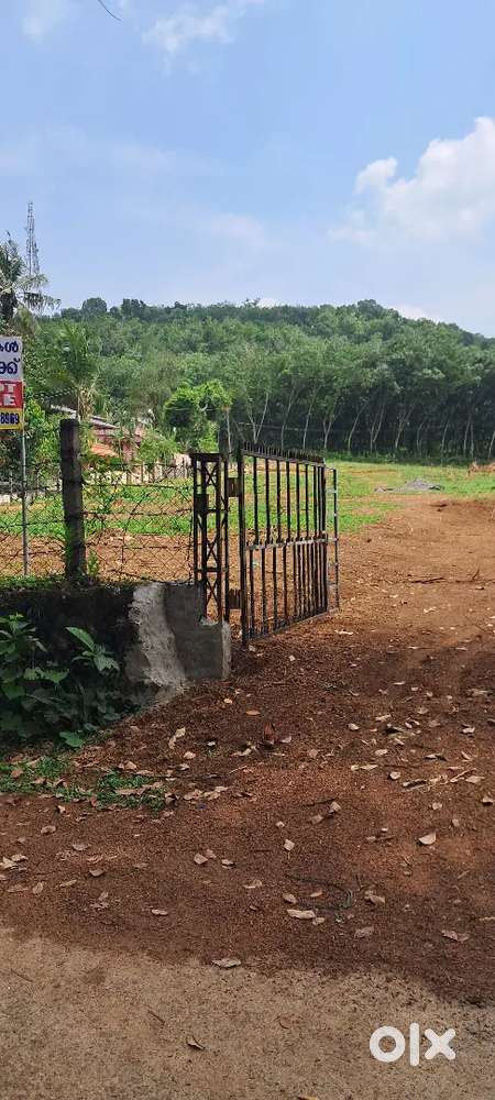 HOUSE PLOTS, പത്തനാപുരം