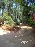 A plot at coorg with a dwelling house