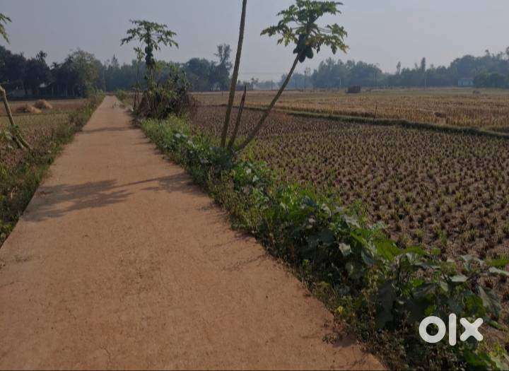 MEDNIPUR PINGLA COLLEGE R KACHE BARI KARAR UPOJUKTO JOMI BIKRI ACHE