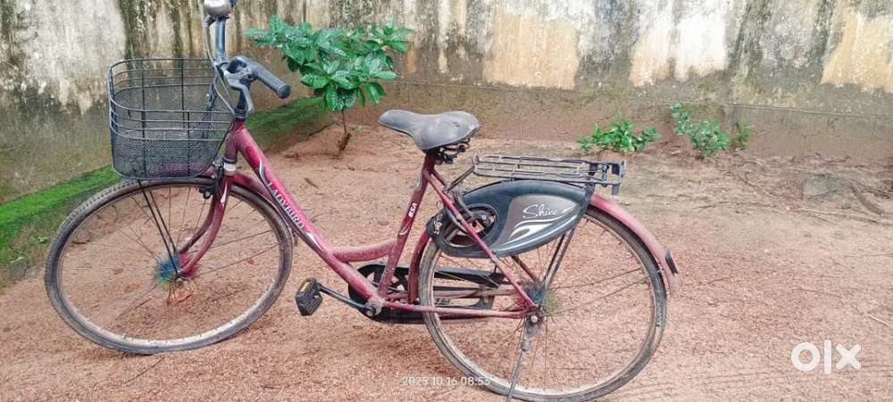 Lady Bird good condition cycle