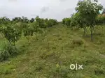 1 To 50 Acrea land for sale in Kariakal.nagaipattinam.Thirunallar