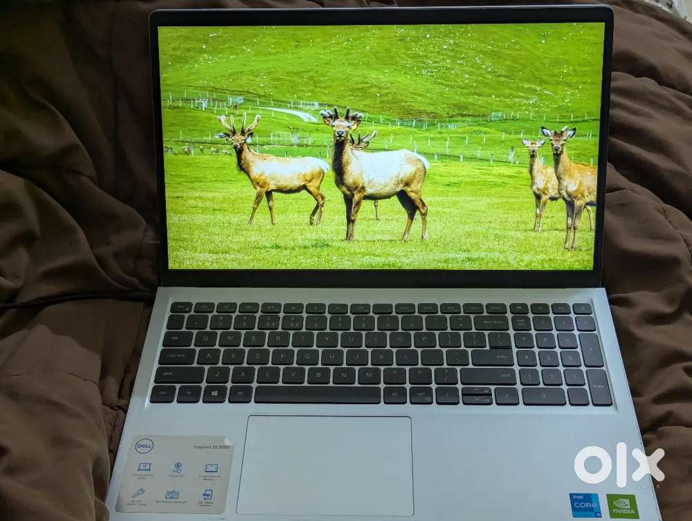 Dell Inspiron 15 3000 (2021) – Intel i5 11th Gen  8GB RAM  SSD + HDD