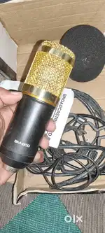 Record Mic