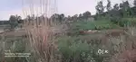 NH 74 NEAR BY DHAMPUR SE SHERKOT KE PASS