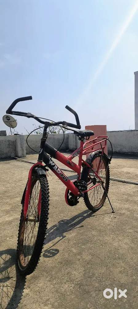 Wild Fox Bicycle Urgent Sell