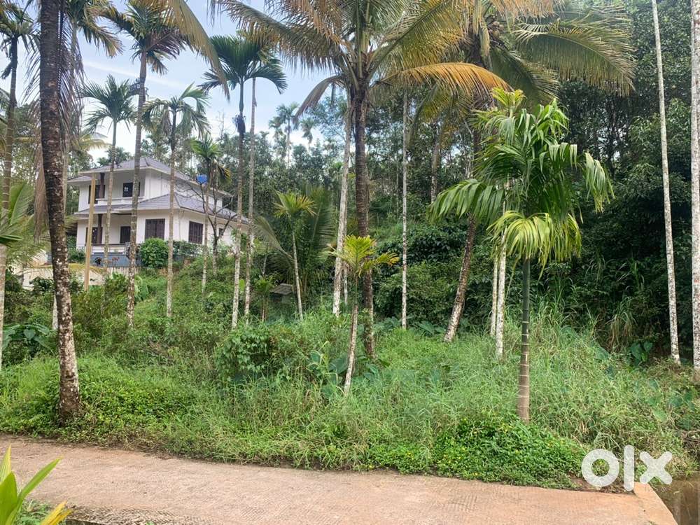 Plot for sale in Ambalavayal