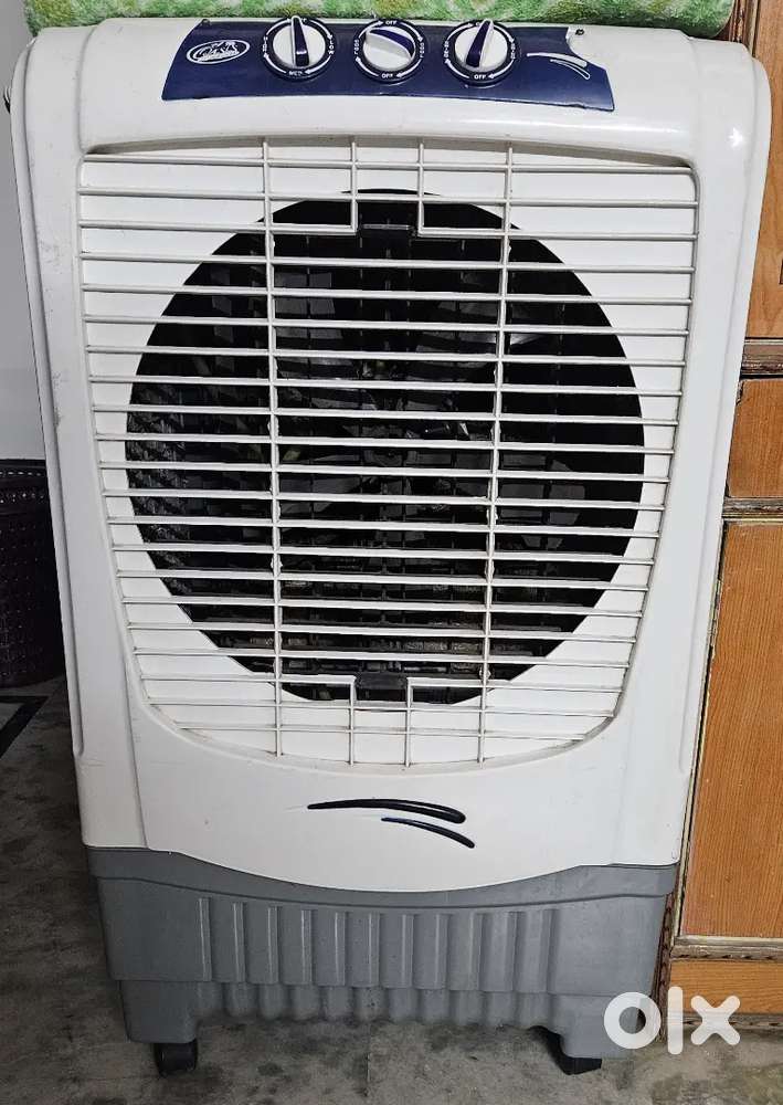 Cooler and shoe rack combo