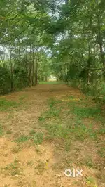 Open plots for sale  at bhongir