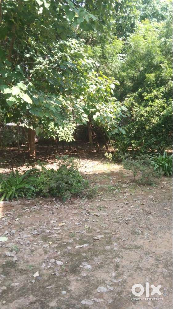 1000 VAR PLOT WITH HOUSE IN NANABAZAR