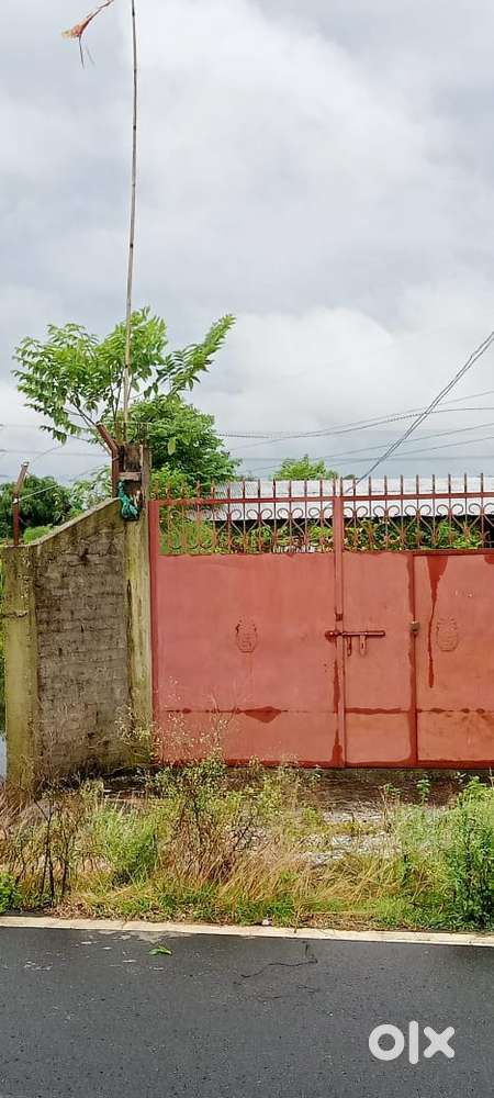 24 katha boundary wall land near Delhi World Public School Ambari