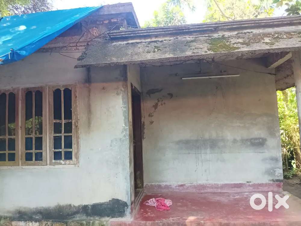3  മുറി സിറ്റൌട്ട് ഹാൾ ബാത്ത്റൂം (Price Negotiable . Urgent Sale)