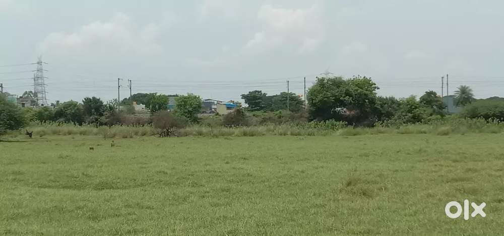 Plot for sale in veppampatttu