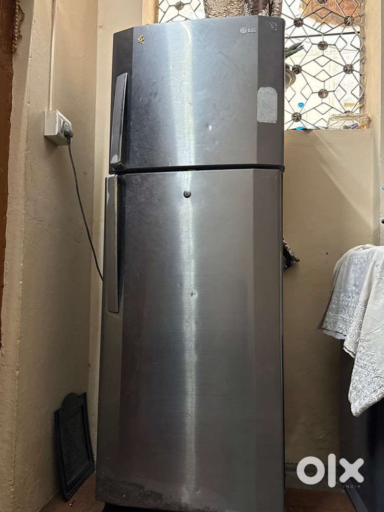 Lg double door
