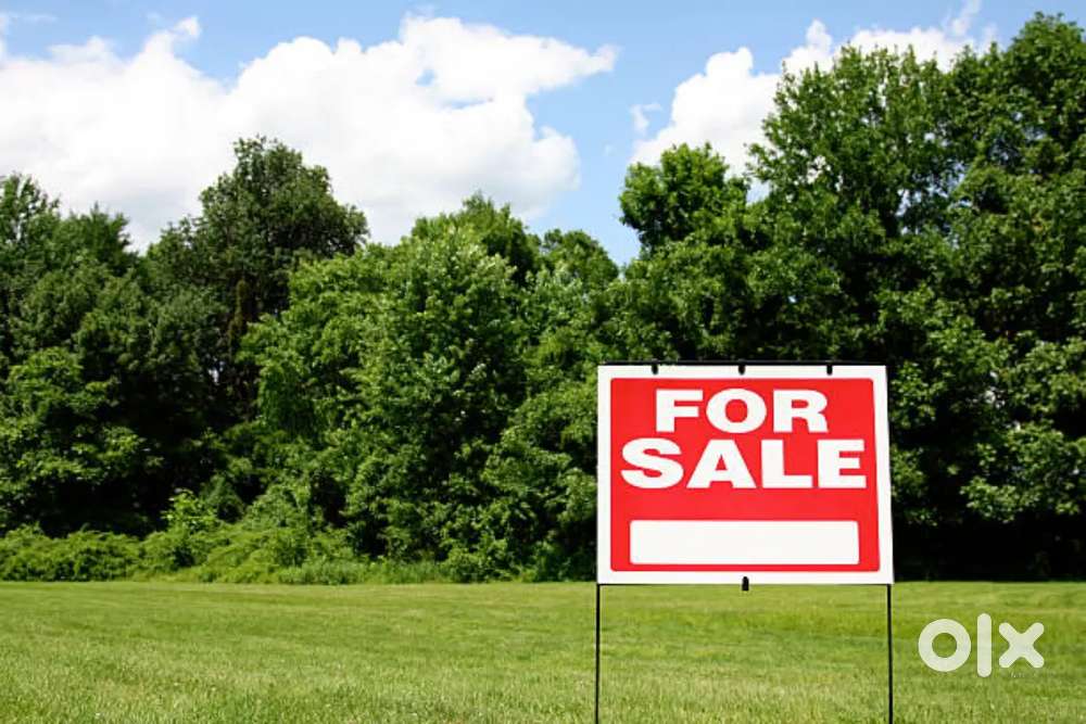 Land for sale at Kushiabill near Government High school.