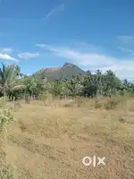 Therthamalai Land