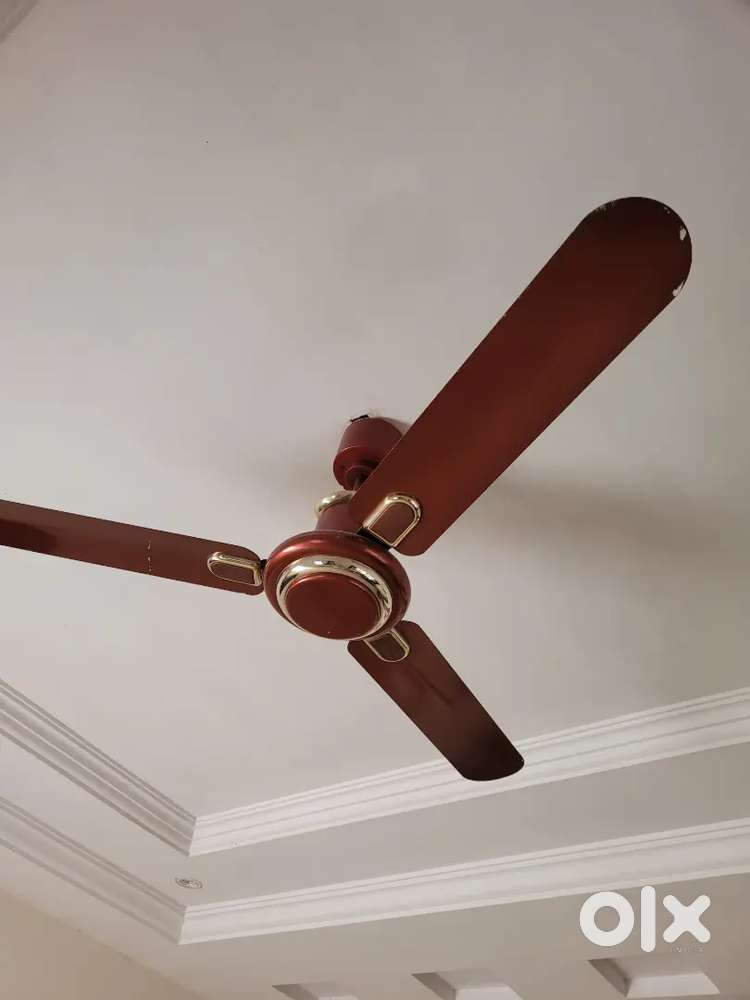 सीलिंग पंखे 8