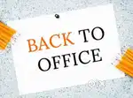 Back office executive