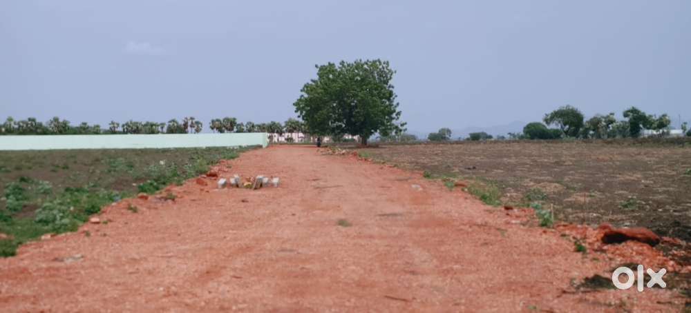 సత్తెనపల్లి crda n rera approved venture