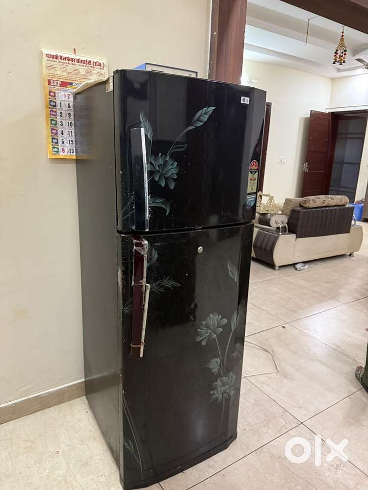 LG Double Door Refrigerator – 260L Frost-Free (Black Floral Design)