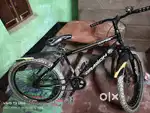 Double disc cycle