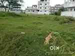 Narsipatnam