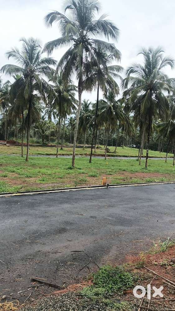 Premium plots for sale in Mannarkkad, Palakkad