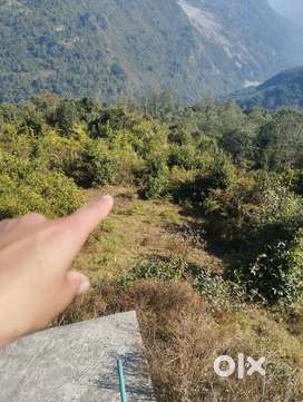 I want to sell my plot