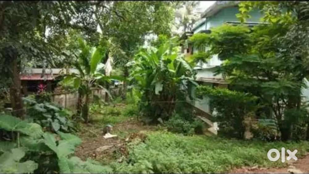 Plot at punthalathazham