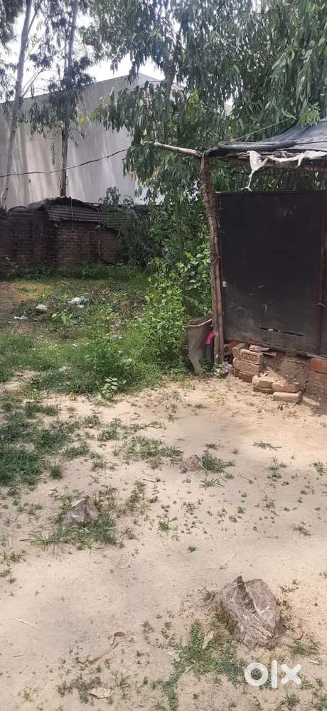 3200 sqft. (40×80) plot for sale at IIM road near Bhithauli Tiraha