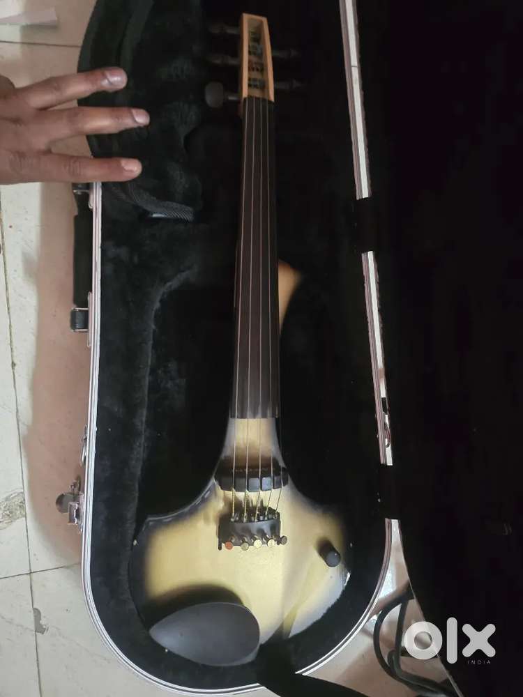 Cantini Earphonic with original Wittner heared pegs.