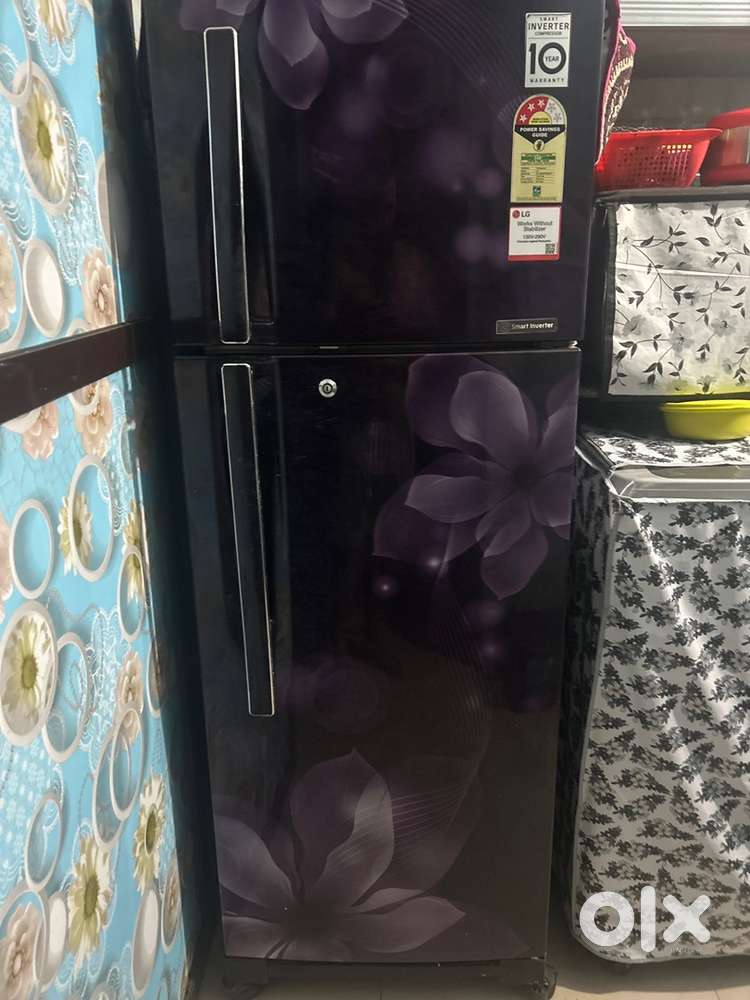 LG 255 L Smart Inverter Refrigerator