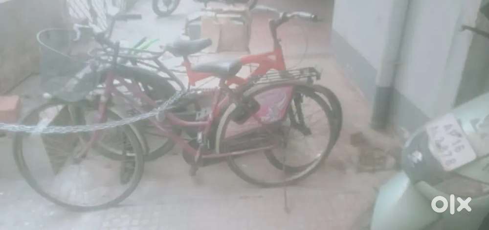 By cycle red clour good