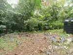 മീനടം 21 cent plot.80000 rs.cent.