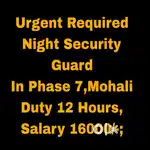 Night Security guard job Phase 7,Mohali