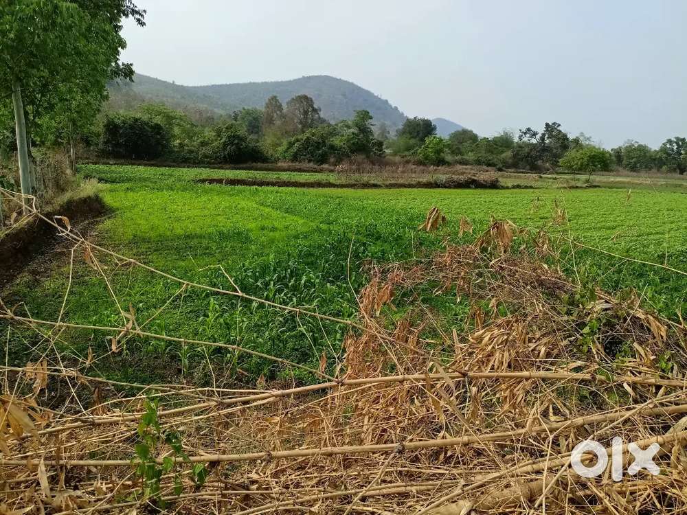 Near srikhetra township Amalabhata jk pur,just 500 meter from NH 326