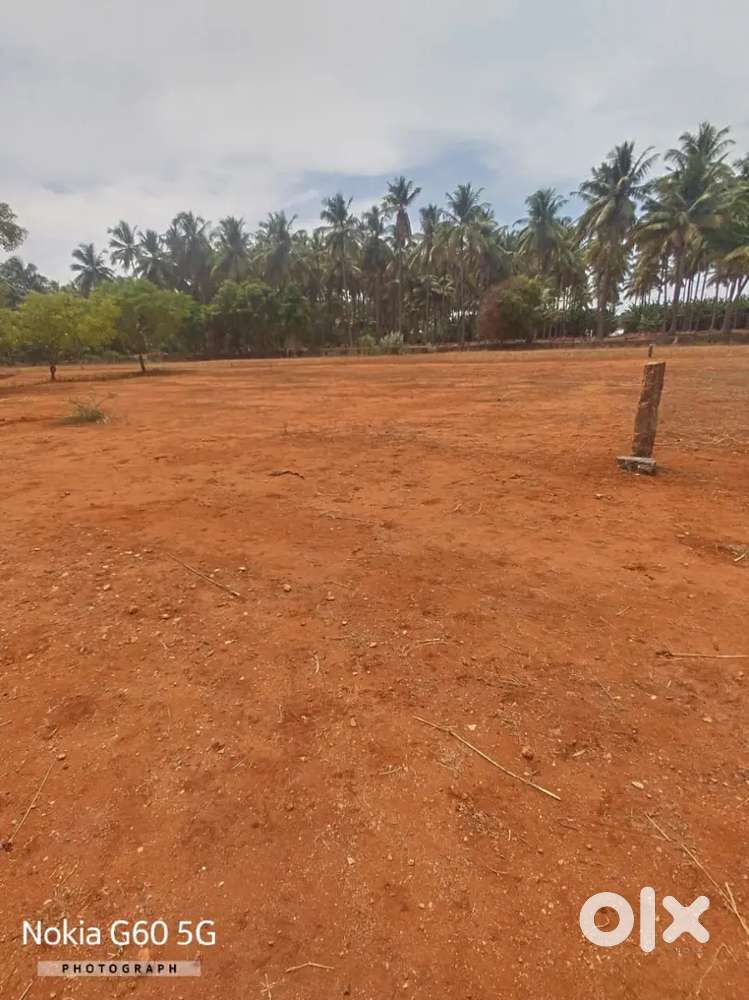 Land for sale - Elachipalayam - Karumathampatti road