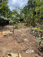 Plot for rent