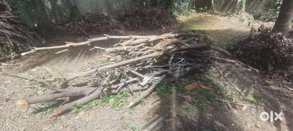 Fire wood chips/wood scrap/fuel stick/viragu