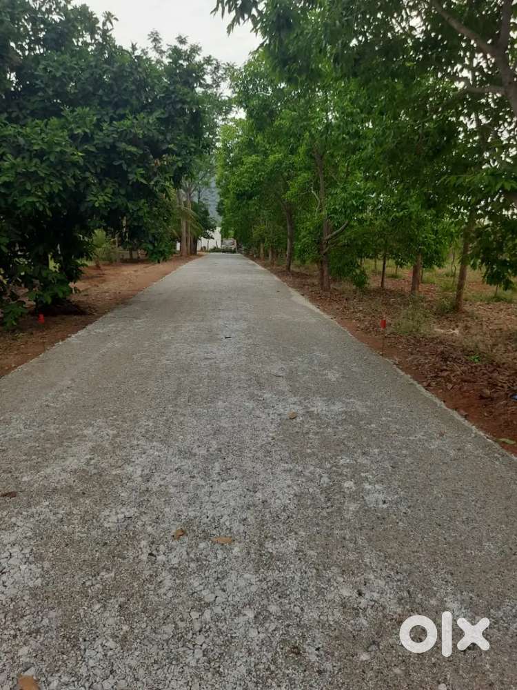 Limited lands available 15 lakhs