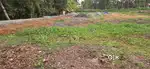 NEAR INFOPARK KAKKANAD PALLIKKARA VILLA PLOTS