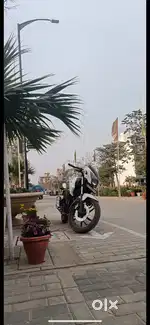 New candisan abhi injan nahi khula