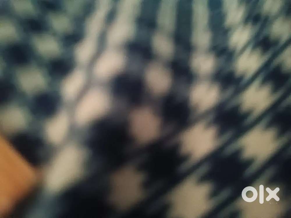 Require boys or man to work in hotel benquet in cansaoulim salary 700.