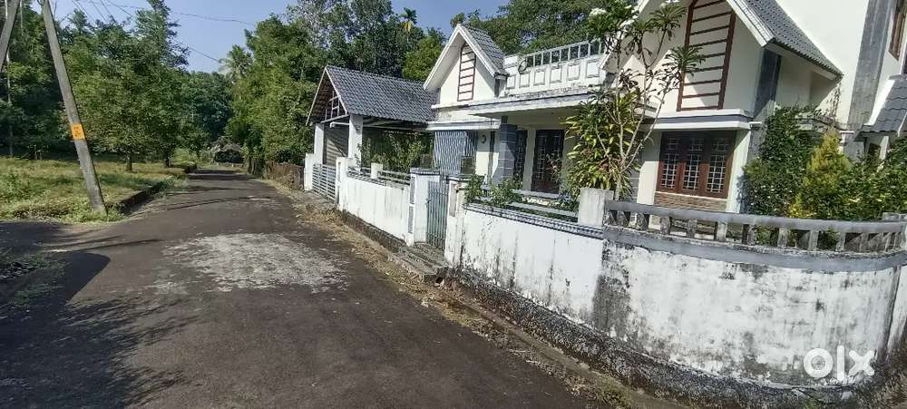 Angamaly vattapparbu 4,5,6,8, 10 CENT PLOTS AVAILABLE