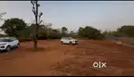 Terav agricultural land for sale