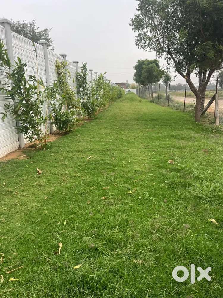 Rang bhumi farm house 100 feet road pe