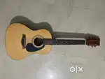 Kadence 311 acoustic guitar