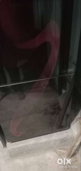 256 DB fridge Haier, 2 yr