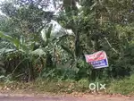 27 cent plot .puthanabalam kadamabanad