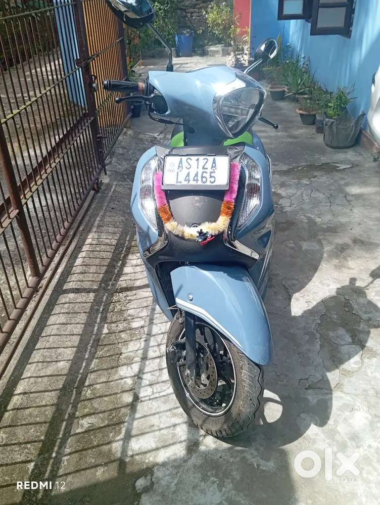 One year old scooty